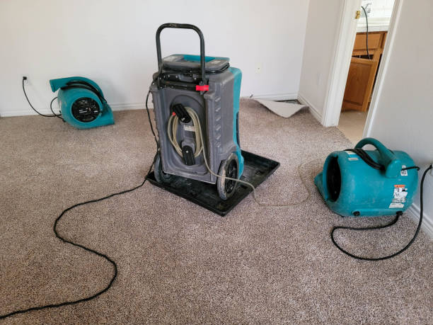 Best 24-hour water damage restoration  in Ladera, CA