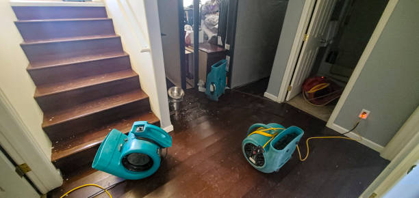 Best Water damage restoration near me  in Ladera, CA