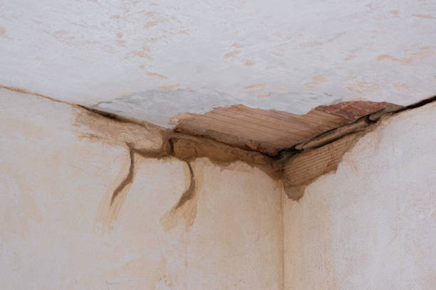 Best Water damage restoration near me  in Ladera, CA