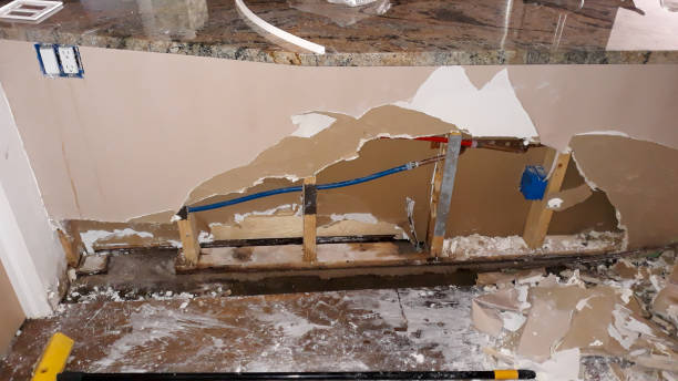 Best Water damage restoration near me  in Ladera, CA