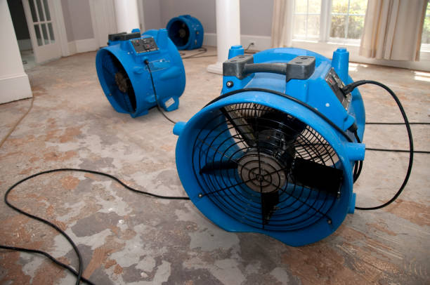 Best Fire Damage Restoration  in Ladera, CA
