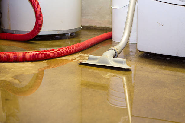Best Local water damage restoration  in Ladera, CA