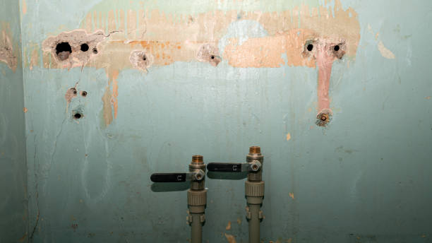 Best Residential water damage restoration  in Ladera, CA