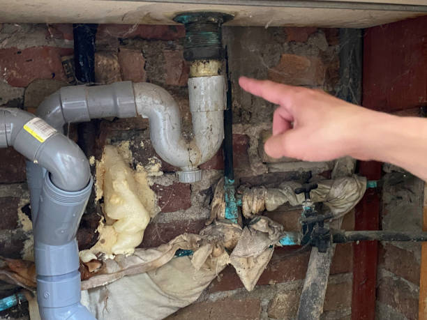 Best Flooded house restoration  in Ladera, CA