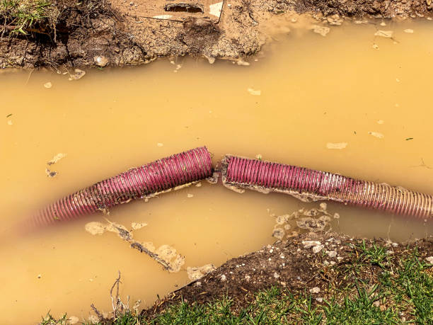 Best Water damage restoration near me  in Ladera, CA