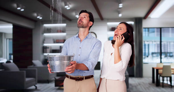 Best Flood damage cleanup  in Ladera, CA