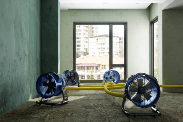 Best Commercial water damage restoration  in Ladera, CA